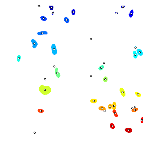 annotated